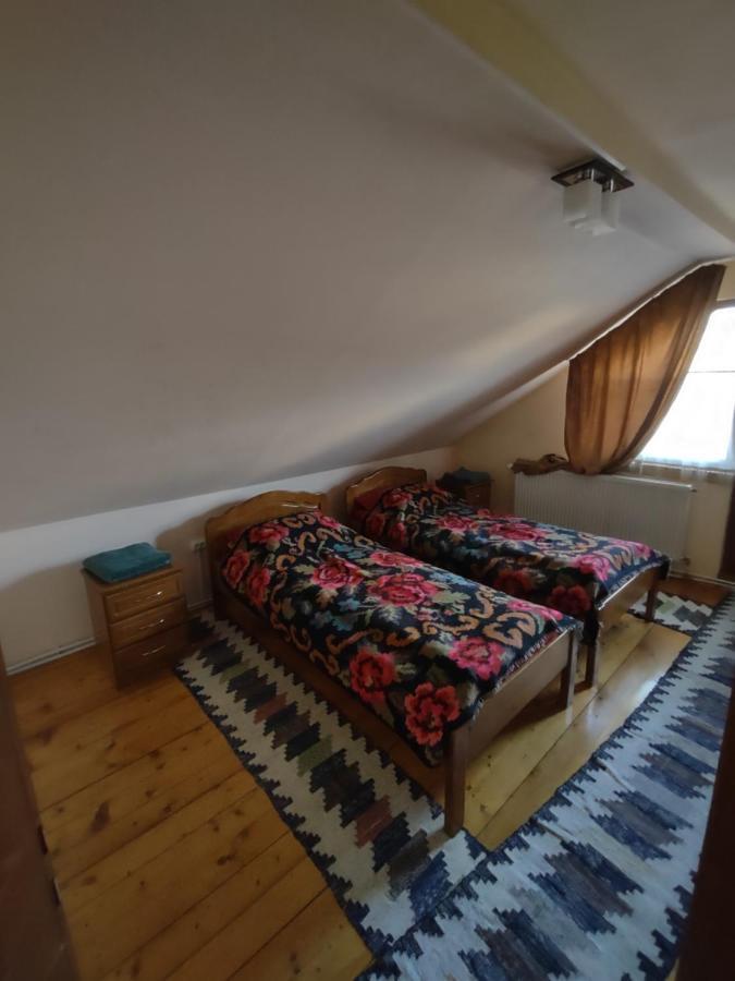 Pensiunea Ghita Vasile Vadu Izei Exterior foto
